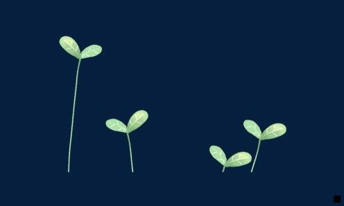 二粉象专属粉丝提多少佣金