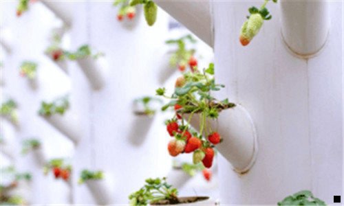 二温州境象设计