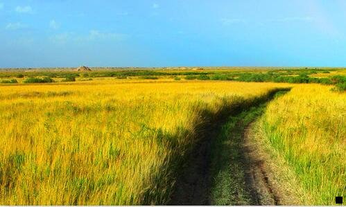 二粉象生活模式合法吗