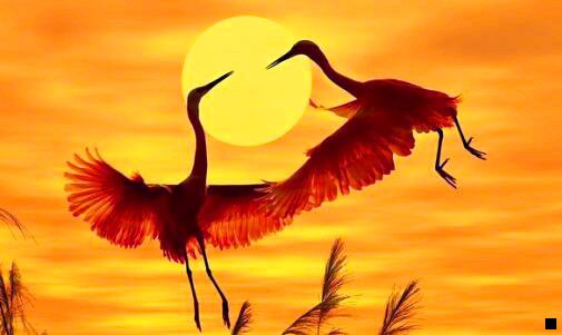 三粉象生活信用卡