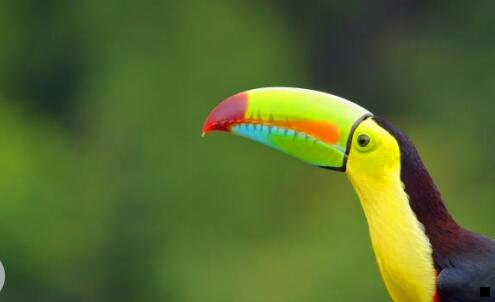 三粉象邀请码怎么更改