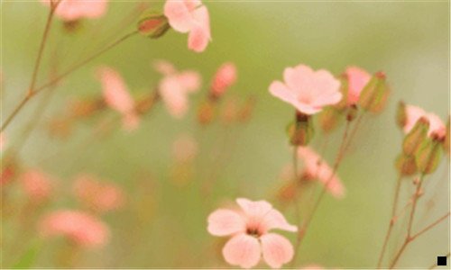 二芬香锁粉锁多久