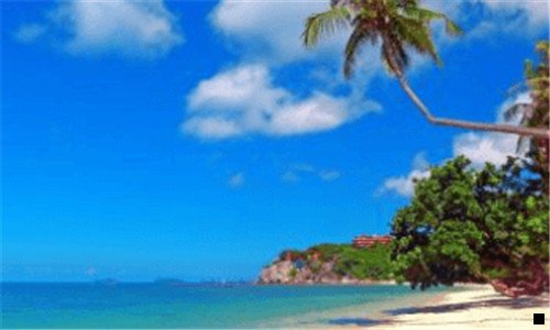 三粉象生活能看到粉丝订单吗