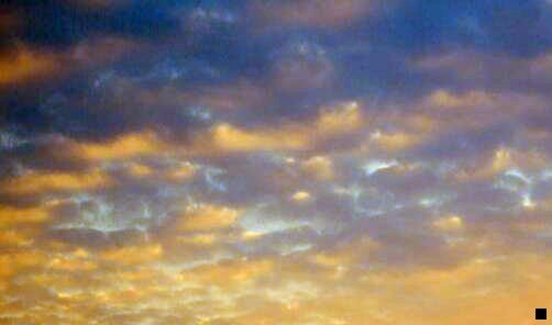 一如何在粉象领取大额优惠券