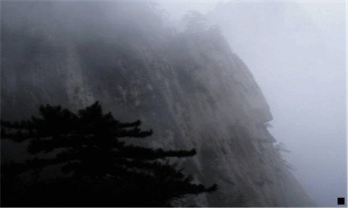 二粉象生活不好推广