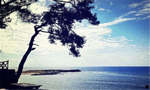 一粉象生活邀请id哪里来