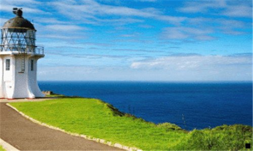 二粉象生活0元福利购几点开始