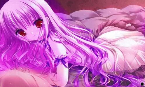 一粉象生活 兔子团队