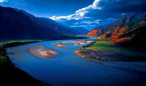 一啤酒 粉象 罗斯福