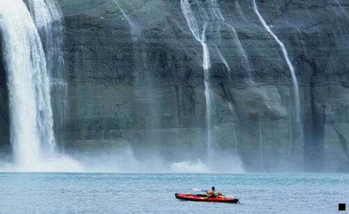 一神象野山参粉防伪