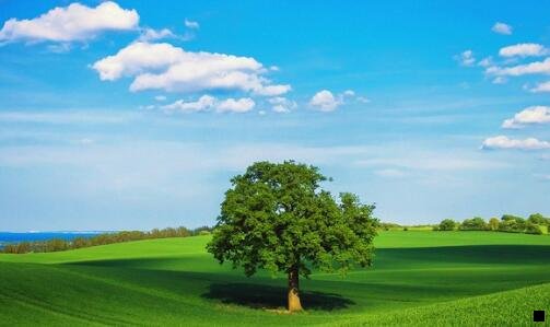 一粉象生活的注册码能随便用吗