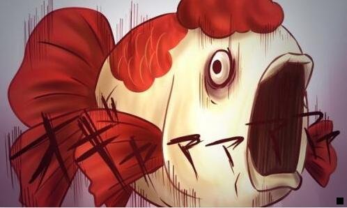 二粉象生活没有邀请码