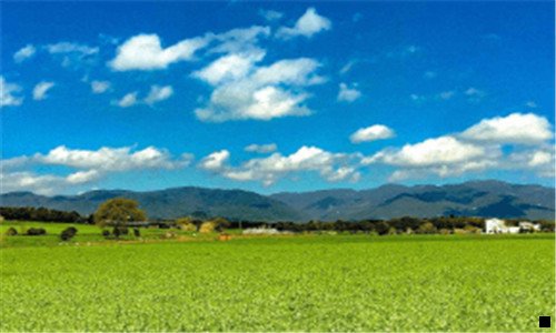 三粉象生活对接的购物网站