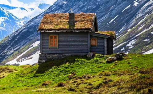 一环球捕手和粉象生活