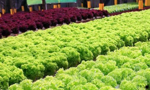 二粉象生活一定要填邀请码吗