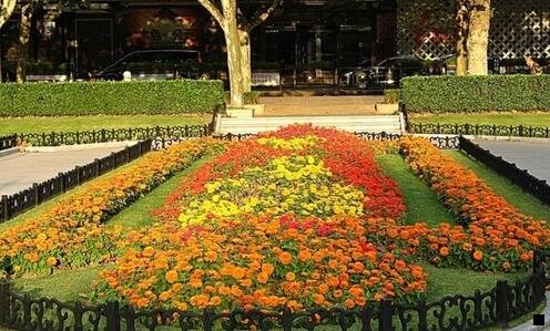 三象男生一样的女生