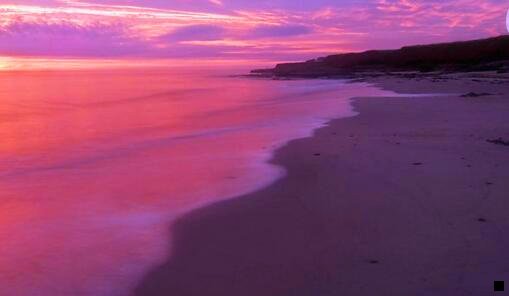 二粉象生活创始人是谁