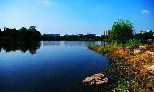 一安卓市场粉象