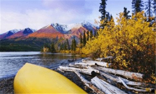 一粉象生活免费领水果是真的吗