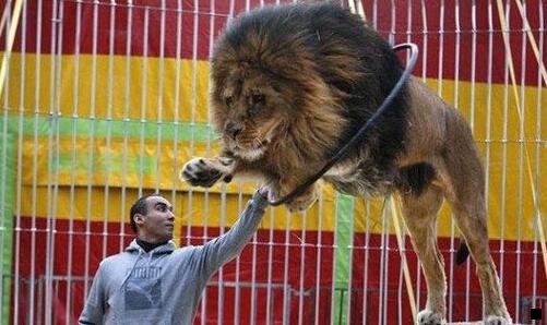 三粉象官方网站