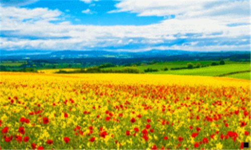 一粉象机票返利返多少