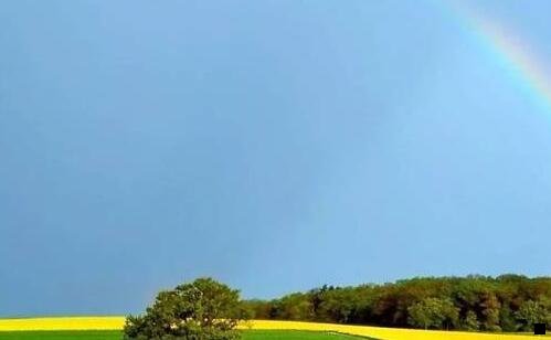 三粉象生活怎样升级合伙人