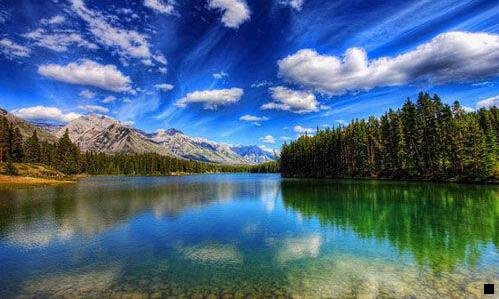 一浅粉象单个啤酒图片