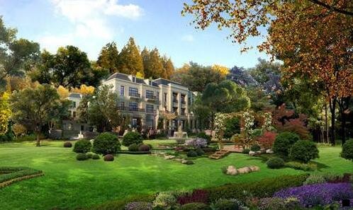 二野山参粉的服用方法