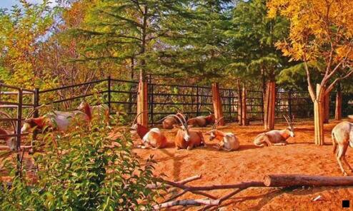 三粉象生活到底靠谱吗