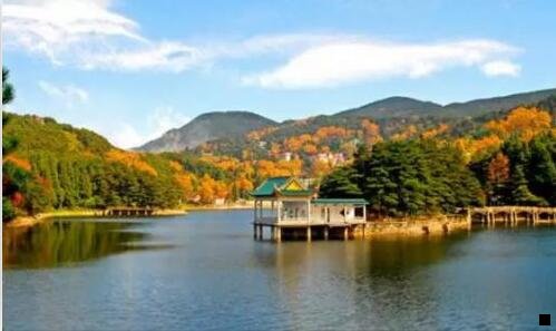 一洋葱Omall和粉象生活哪个好