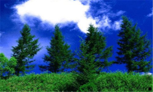 一粉象生活pk高佣联盟