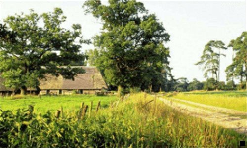 三淘粉吧和粉象生活哪个好