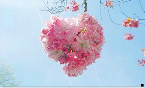 三粉象生活安全可靠吗