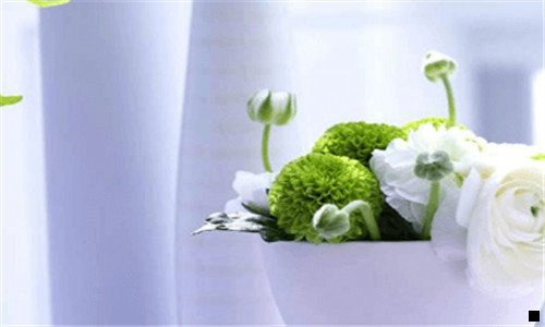 二粉象生活邀请人