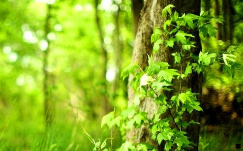 一粉象生活邀请人
