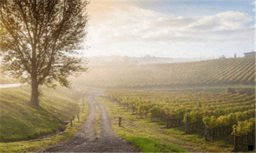 一大庆胡桃里和粉象哪个好