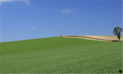 一上面板牙多长牙齿象粉一样的