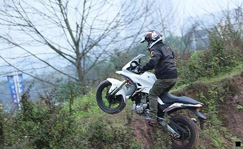 三粉象生活现金打卡