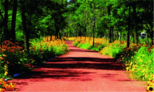 二粉象樱桃啤酒