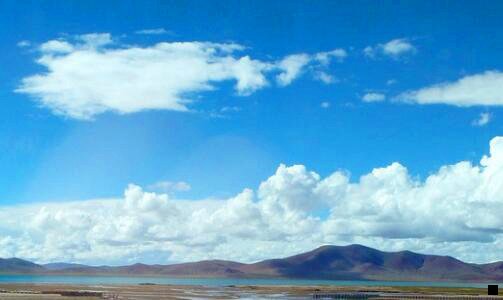 二粉象生活二维码推广图怎么弄