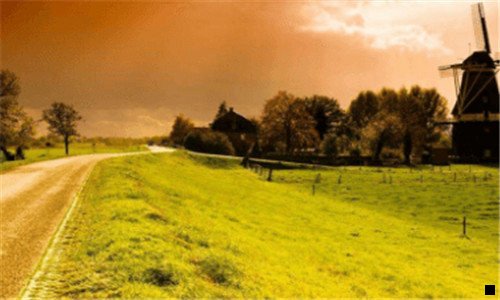 一粉象生活的用户群体