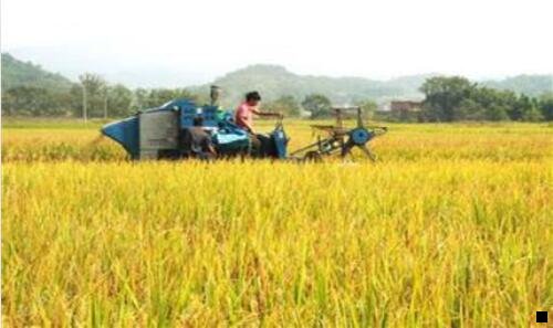 三粉象生活APP怎么赚钱