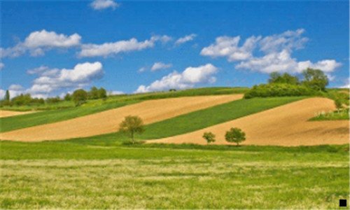 三粉象生活官网首页