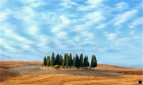 二粉象生活怎么结算佣金的