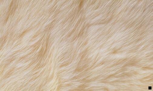 三粉象为什么用邀请码