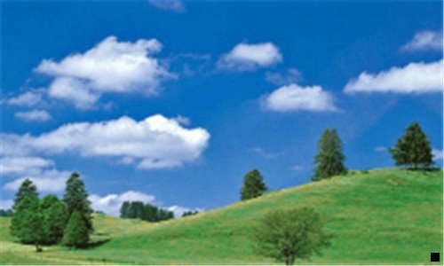 一什么是粉象1664