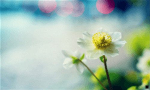 二粉象生活邀请人