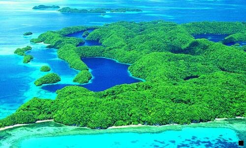 一粉象生活免费vip会员