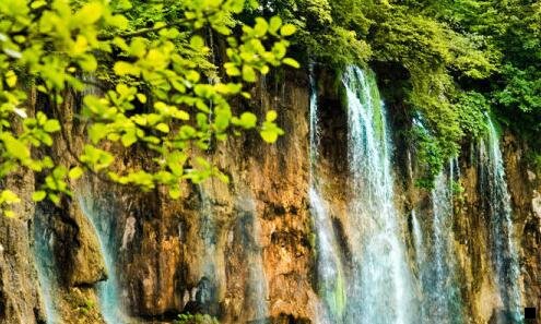 二粉象生活是个什么东西