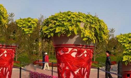 二粉象生活邀请码零填325.922